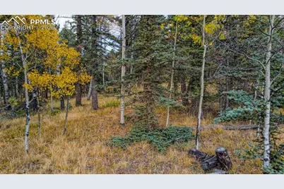 166 Denwood Drive, Florissant, CO 80816 - Photo 16