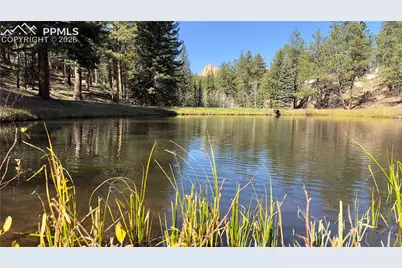 71 Durelli Drive, Woodland Park, CO 80863 - Photo 38