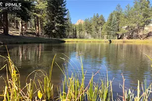 71 Durelli Dr, Woodland Park, CO 80863 - Photo 38