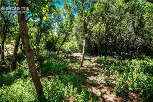 2235 Rockhurst Blvd, Colorado Springs, CO 80918 - Photo 40