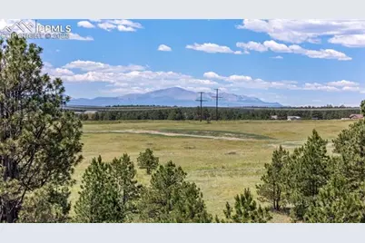 10854 Alamar Way, Colorado Springs, CO 80908 - Photo 8