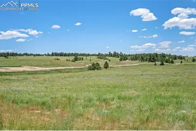 10854 Alamar Way, Colorado Springs, CO 80908 - Photo 4