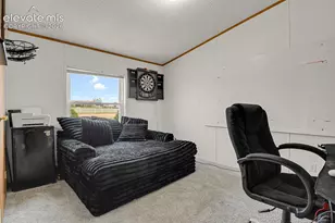 6630 Buckboard Dr, Peyton, CO 80831 - Photo 26