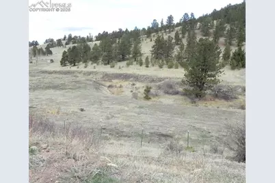 521 Monarch Drive, Cripple Creek, CO 80813 - Photo 2