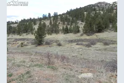 521 Monarch Drive, Cripple Creek, CO 80813 - Photo 8