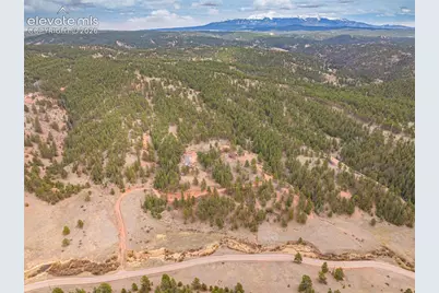 1736 County Road 3 Road, Florissant, CO 80816 - Photo 42
