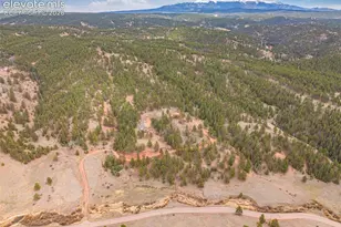 1736 County Road 3 Rd, Florissant, CO 80816 - Photo 42
