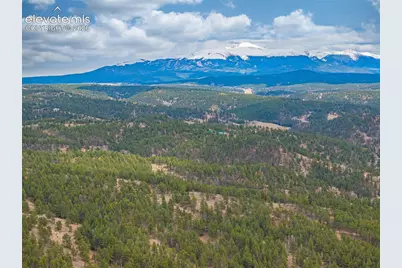1736 County Road 3 Road, Florissant, CO 80816 - Photo 40