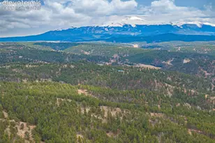 1736 County Road 3 Rd, Florissant, CO 80816 - Photo 40