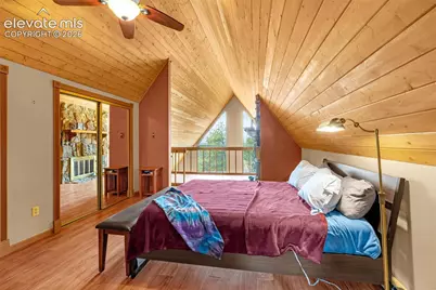1736 County Road 3 Road, Florissant, CO 80816 - Photo 32