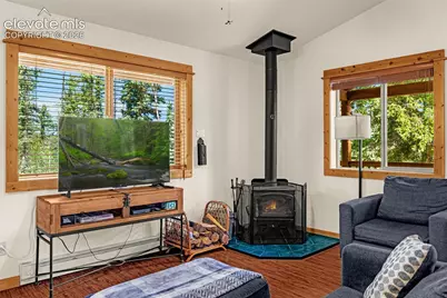 108 Spring Valley Lane, Florissant, CO 80816 - Photo 8