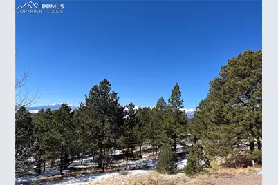 1234 Edelweiss Drive, Westcliffe, CO 81252 - Photo 2