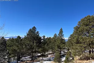 1234 Edelweiss Dr, Westcliffe, CO 81252 - Photo 2