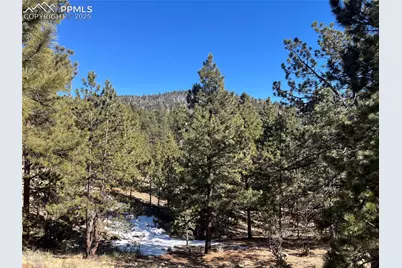 1234 Edelweiss Drive, Westcliffe, CO 81252 - Photo 22