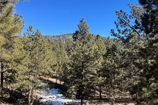 1234 Edelweiss Dr, Westcliffe, CO 81252 - Photo 22