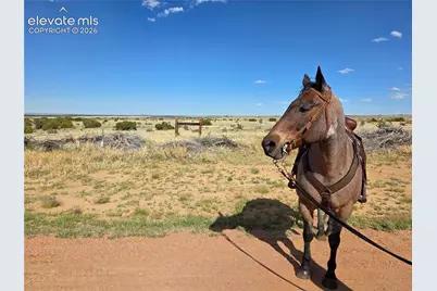 8650 Highway 67, Florence, CO 81226 - Photo 6