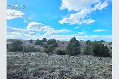 8650 Highway 67, Florence, CO 81226 - Photo 28