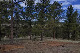 28 Pinnacle Cir, Florissant, CO 80816 - Photo 1
