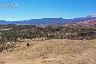 1250 Bison Ridge Dr, Colorado Springs, CO 80919 - Photo 50