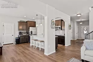 8412 Noreen Falls Dr, Colorado Springs, CO 80924 - Photo 12