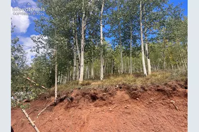 64 Grey Eagle Way, Cripple Creek, CO 80813 - Photo 8