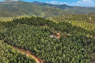 117 Fluorite Ln, Divide, CO 80814 - Photo 4