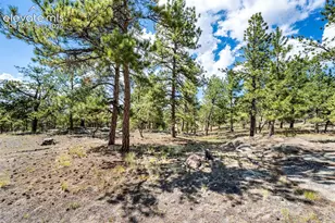 363 Arrowhead Dr, Florissant, CO 80816 - Photo 32