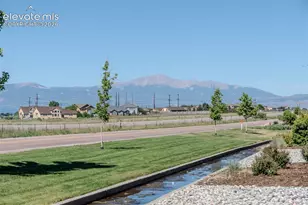 7514 Teocalli Point, Peyton, CO 80831 - Photo 38