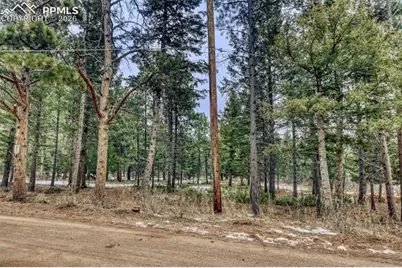 Rock Ridge Road, Palmer Lake, CO 80133 - Photo 18