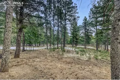 Rock Ridge Road, Palmer Lake, CO 80133 - Photo 16