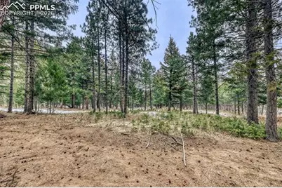 Rock Ridge Road, Palmer Lake, CO 80133 - Photo 14
