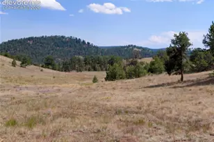 Tract 70 Owls Nest Rd, Guffey, CO 80820 - Photo 1