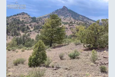 Tract 70 Owls Nest Road, Guffey, CO 80820 - Photo 16