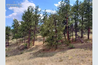 Tract 70 Owls Nest Road, Guffey, CO 80820 - Photo 14