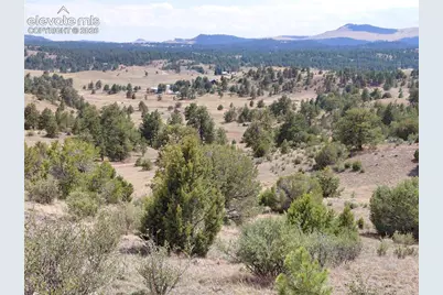 Tract 70 Owls Nest Road, Guffey, CO 80820 - Photo 18