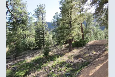 213 Coffee Pot Road, Manitou Springs, CO 80829 - Photo 10