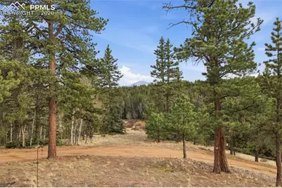 57 Trout Creek Circle, Divide, CO 80814 - Photo 32