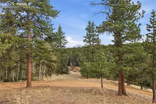 57 Trout Creek Cir, Divide, CO 80814 - Photo 32