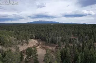 57 Trout Creek Cir, Divide, CO 80814 - Photo 30