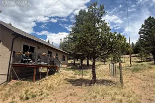 24 Bighorn Cir, Florissant, CO 80816 - Photo 6