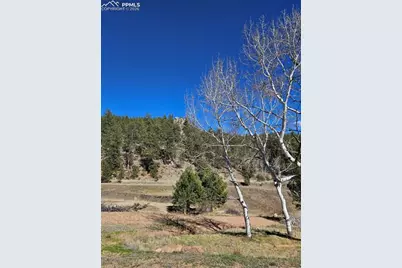 717 Canyon Drive, Florissant, CO 80816 - Photo 20