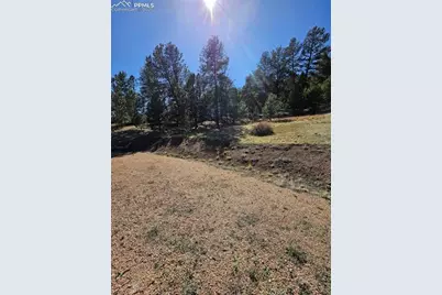 717 Canyon Drive, Florissant, CO 80816 - Photo 14