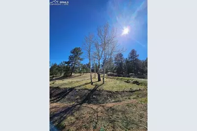 717 Canyon Drive, Florissant, CO 80816 - Photo 6