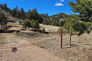 717 Canyon Dr, Florissant, CO 80816 - Photo 1