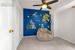 313 Raspberry Ln, Monument, CO 80132 - Photo 20