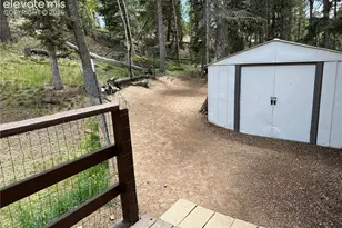45 La Abu Trail, Florissant, CO 80816 - Photo 12