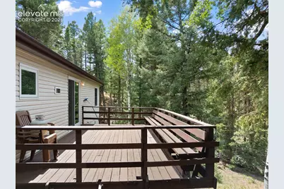 45 La Abu Trail, Florissant, CO 80816 - Photo 10