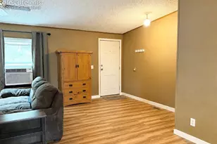 45 La Abu Trail, Florissant, CO 80816 - Photo 10
