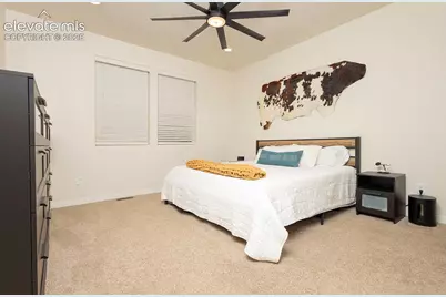 9828 Pennycress Drive, Colorado Springs, CO 80925 - Photo 12