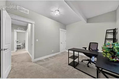 5204 Sirbal Drive, Colorado Springs, CO 80924 - Photo 38
